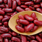 Rajma Red