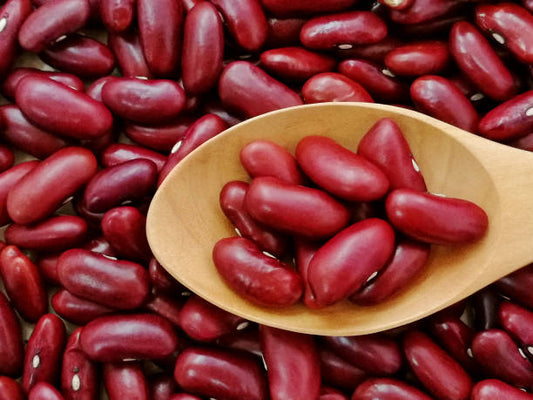 Rajma Red