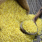 Foxtail Millet - Korralu