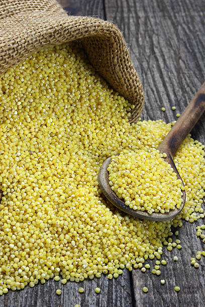 Foxtail Millet - Korralu